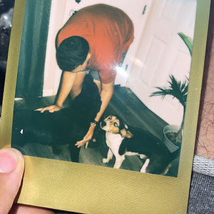 Meet your Posher, Lamont